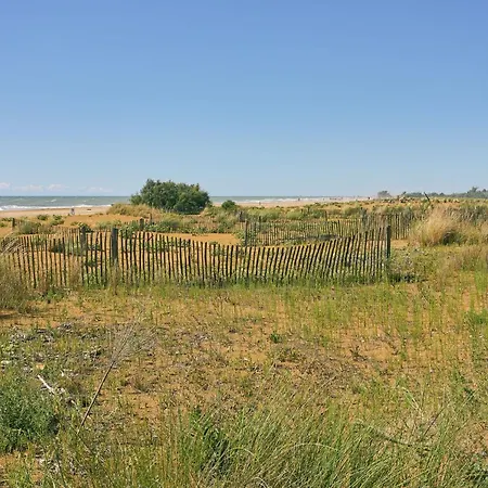 Flat Steps To Ideal For Kids * 비비오네